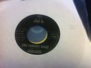 THE DANLEERS - ONE SUMMER NIGHT - US AMP 3 -  45 - CLASSIC DOO WOP