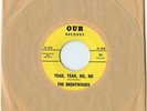 BRENTWOODS Our Records soft psych garage rock Yeah Babe 45 Norman Petty Studios