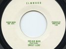 Colorado psych rock garage SWEET LEAF rare Elmwood Indian Man 45 Norman Petty