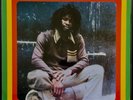 ERROL FLABBA HOLT Roots Radics Dub NEW LP - Reissue of 1980 KING TUBBY Classic