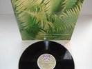 EDGAR FROESE-EPSILON IN MALAYSIAN PALE.. PLAYED ONCE  1ST UK PRESS VINYL LP 1975