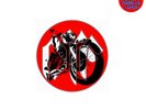 DIG THE FUZZ Records, 7'' Vinyl Box Set, Limited Edition 99 Sets Only  PRE ORDER