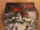Sonic Youth - EVOL LP Alternative Indie Rock Nirvana MBV Mudhoney