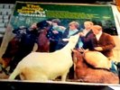 MONO BEACH BOYS  PET SOUNDS  CAPITOL T 2458 MONO ORIGINAL 1ST PRESS play tested
