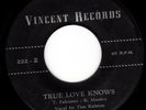 BEEP BEEP & ROADRUNNERS - TRUE LOVE KNOWS - SAVAGE NEW ENGLAND GARAGE 45 - HEAR