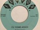 Garage 45 THE LEGENDS I'll Come Again FENTON I'm Just A Guy HEAR
