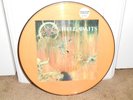 Rare SLAYER 1985 HELL AWAITS Vinyl Picture Disc LP   Metal Blade mercyful fate
