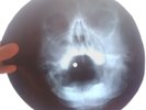 Black Sabbath - Paranoid - X-RAY USSR ROENTGEN Bones Record skull