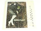 *SIGNED* Razorlight - Olympus Sleeping  (2018)  Vinyl LP Record Album *SIGNED*