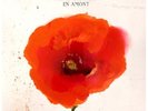ALAIN BASHUNG - EN AMONT - Vinyles transparents Edition limitée - Précommande