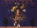 Santana Shape Shifter 180 GRAM AUDIOPHILE PRESSING + 8-PAGE BOOKLET Vinyl LP