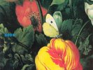 Morphine – Good Vinyl, LP, Album, Reissue, 180 Gram