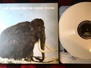 King Gizzard & The Lizard Wizard Polygondwanaland FUZZ CLUB White Vinyl LP /500