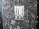 Flux of pink indians - strive to survive.... LP - spiderleg records 1.press