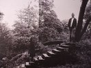 TIMBER TIMBRE - Timber Timbre - Vinyl (LP)