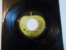 Trash-1969 Apple 
