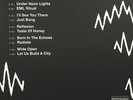 Born in the Echoes Limited 3 LP 180g Box Set   | The Chemical Brothers 