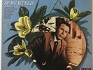 Jim Reeves - Welcome To My World - EX Vinyl LP - Rare - Custom Edition - Stereo