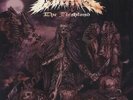 COFFINS - FLESHLAND NEW VINYL