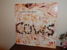 The Cows Sorry In Pig Minor LP   1998 vinyl Amphetamine Reptile
