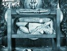 PUNGENT STENCH - Ampeauty - DLP - DEATH METAL