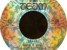 The Shadows Of Knight Shake Vinyl Single 7inch TEAM