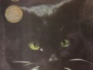 C.C. Catch Catch The Catch NEAR MINT Hansa Vinyl LP