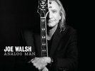 JOE WALSH-ANALOG MAN (VINYL) VINYL LP NEW
