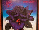THIN LIZZY “BLACK ROSE” Original 1979 Vinyl LP Mint WAITING FOR AN ALIBI