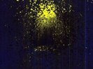 ANTLERS - BURST APART NEW VINYL