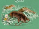 QUASI-FIELD STUDIES (DLCD) (US IMPORT) VINYL LP NEW
