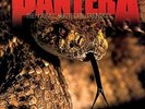 Pantera-The Great Southern Trendkill (US IMPORT) VINYL NEW