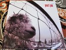 Pearl Jam  vs  1993 U.S. Issue STILL SEALED   MINT MINUS