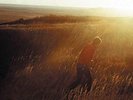SAVES THE DAY-STAY WHAT YOU ARE VINYL LP NEW