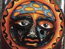 SUBLIME *40oz TO FREEDOM PICTURE DISC * ORANGE 1st PRESS  * VINYL RECORD