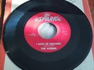 R&B/DooWop ROBINS I Must Be Dreamin/The Hatchet Man SPARK Rare vinyl