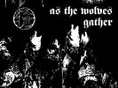 Forgotten Woods - As The Wolves Gather, 1994 (Nor), LP