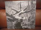 Agalloch 