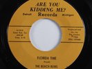 Surf Rock 45 BEACH BUMBS Florida Time ARE YOU KIDDING ME VG+ bob seger HEAR