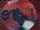 MEAT LOAF BAT OUT OF HELL RARE Vinyl Record Picture Disc