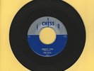 The Rays Tippity Top Moo-Goo-Gai-Pan Silver Blue Chess 45 Record Doo Wop MINT-