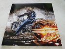 IRON MAIDEN    - powerslave in madrid   -  lp' - . PIC.DISC -
