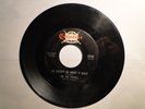 Rare We The People 45 garage You Burn Me Up And Down VG He Doesn't Go About It 