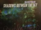 Buckethead Signed Shadows Between The Sky Vinyl LP