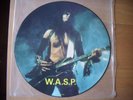 wasp 12
