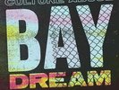 CULTURE ABUSE - BAY DREAM NEW VINYL