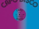 ADAMS, Glen - Stop This Fussing & Fighting - Vinyl (12