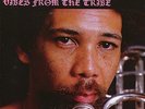 PHIL RANELIN Vibes From The Tribe LP NEW VINYL Pure Pleasure reissue Tribe