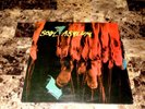 Soul Asylum Rare Hang Time Vinyl LP Record 1988 Dave Pirner Grunge Pop Rock LOOK