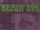 BEADY EYE-7IN BOX SET (US IMPORT) VINYL LP NEW